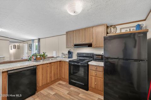 Tiny photo for 901 Test Farm Road, Willard, NC 28478 (MLS # 100567843)