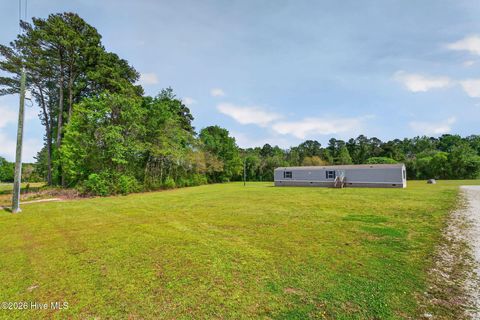 Photo of 901 Test Farm Road, Willard, NC 28478 (MLS # 100567843)