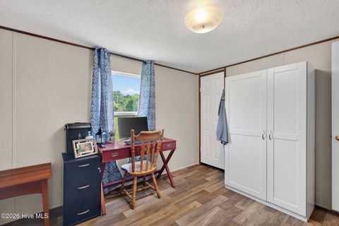 Tiny photo for 901 Test Farm Road, Willard, NC 28478 (MLS # 100567843)