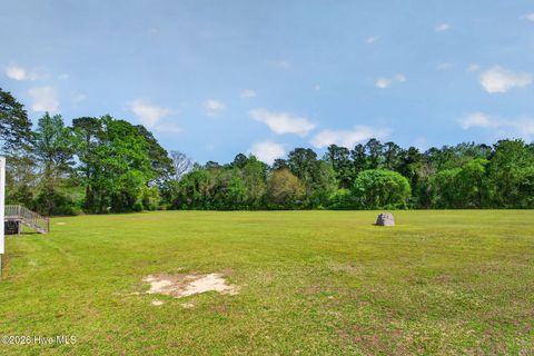 Tiny photo for 901 Test Farm Road, Willard, NC 28478 (MLS # 100567843)