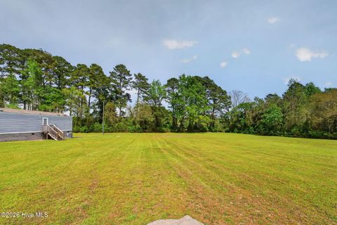 Tiny photo for 901 Test Farm Road, Willard, NC 28478 (MLS # 100567843)