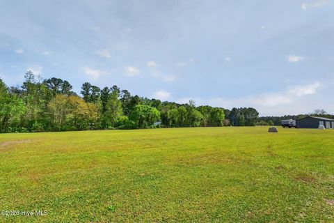 Tiny photo for 901 Test Farm Road, Willard, NC 28478 (MLS # 100567843)