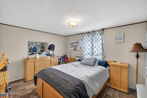 Tiny photo for 901 Test Farm Road, Willard, NC 28478 (MLS # 100567843)