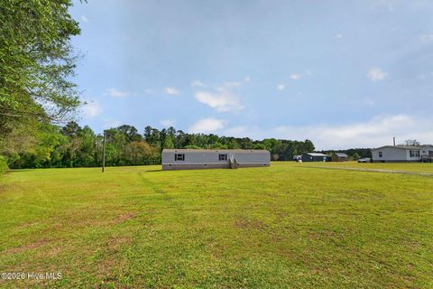 Tiny photo for 901 Test Farm Road, Willard, NC 28478 (MLS # 100567843)