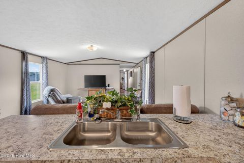 Tiny photo for 901 Test Farm Road, Willard, NC 28478 (MLS # 100567843)