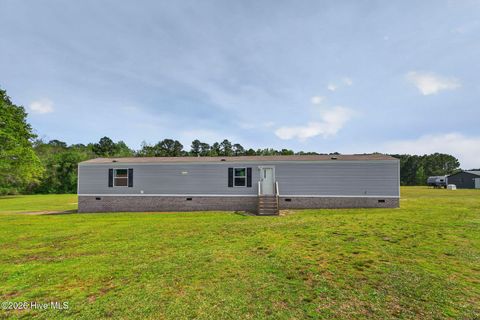 Tiny photo for 901 Test Farm Road, Willard, NC 28478 (MLS # 100567843)