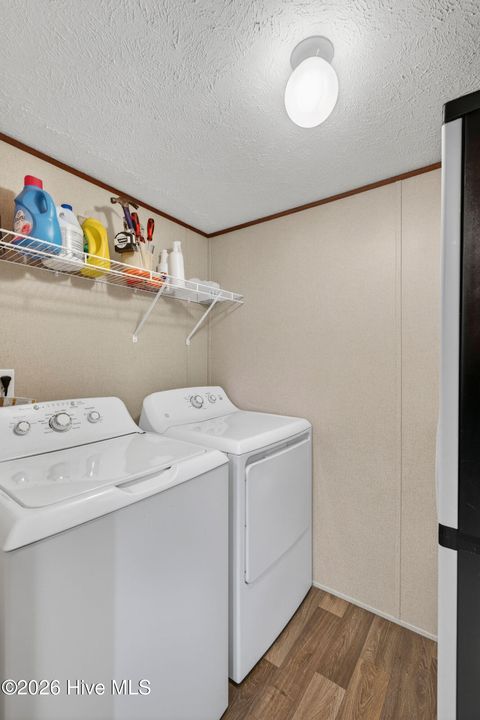 Tiny photo for 901 Test Farm Road, Willard, NC 28478 (MLS # 100567843)