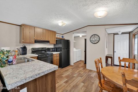 Tiny photo for 901 Test Farm Road, Willard, NC 28478 (MLS # 100567843)