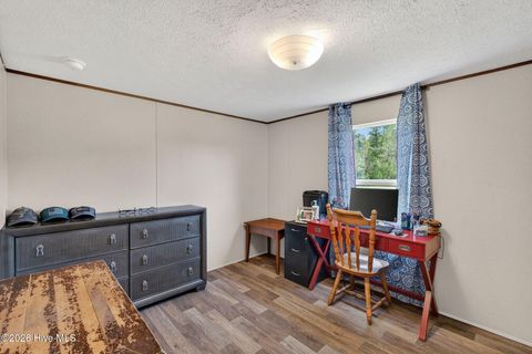 Tiny photo for 901 Test Farm Road, Willard, NC 28478 (MLS # 100567843)