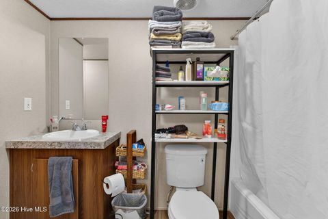 Tiny photo for 901 Test Farm Road, Willard, NC 28478 (MLS # 100567843)