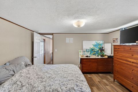 Tiny photo for 901 Test Farm Road, Willard, NC 28478 (MLS # 100567843)