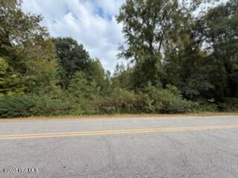 Vacant Land For Sale - 2 Galestown Road<br/> Rockingham, NC 28379