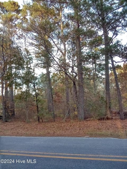 Vacant Land For Sale - LOT #1 Stelleys Tabernacle Church Road<br/> Rockingham, NC 28379