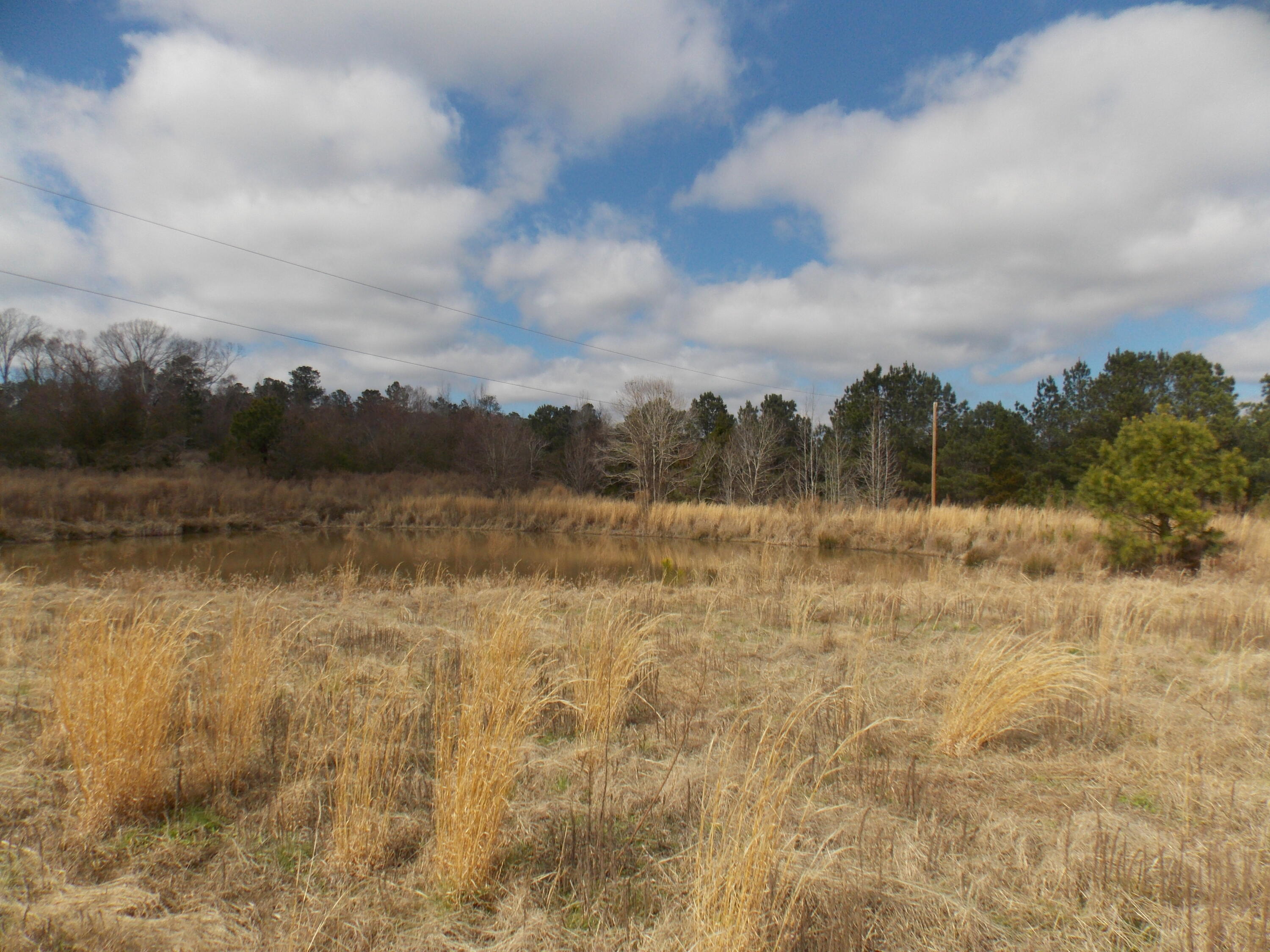 4232 Double Branches Road