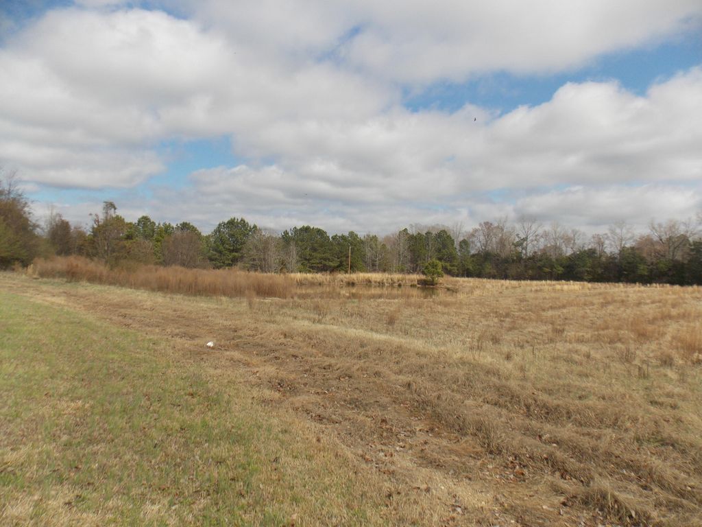 Photo of 4232 Double Branches Road, Lincolnton, GA 30817 (MLS # 552710)