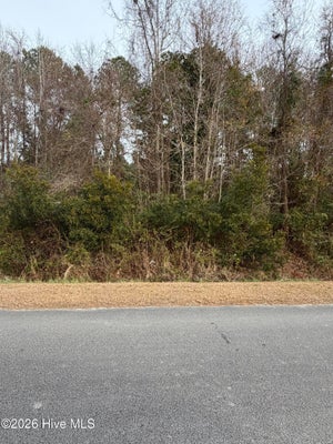JOANS HAVEN DR, NEWPORT, NC 28570 - Image 60c384c2438d72cb6cd5ae8c0e1e395e/3489406061