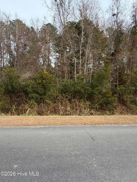 Vacant Land For Sale - Joans Haven Drive<br/> Carteret County, Newport, NC 28570