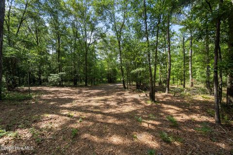 Tiny photo for Tbd Remington Way, Richlands, NC 28574 (MLS # 100547196)