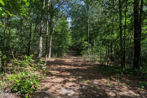 Tiny photo for Tbd Remington Way, Richlands, NC 28574 (MLS # 100547196)