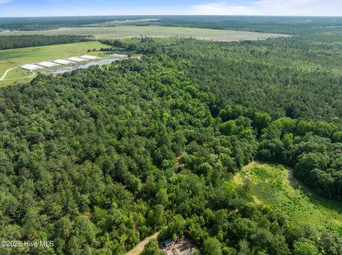 Tiny photo for Tbd Remington Way, Richlands, NC 28574 (MLS # 100547196)