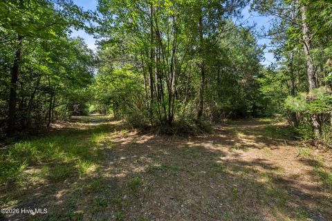 Tiny photo for Tbd Remington Way, Richlands, NC 28574 (MLS # 100547196)