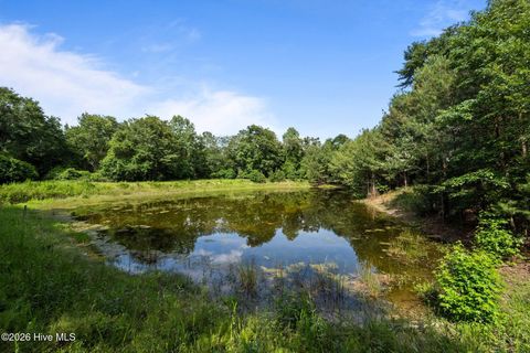 Tiny photo for Tbd Remington Way, Richlands, NC 28574 (MLS # 100547196)