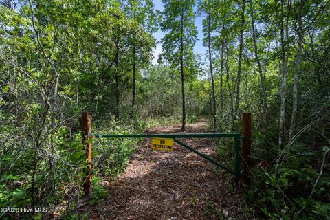 Tiny photo for Tbd Remington Way, Richlands, NC 28574 (MLS # 100547196)