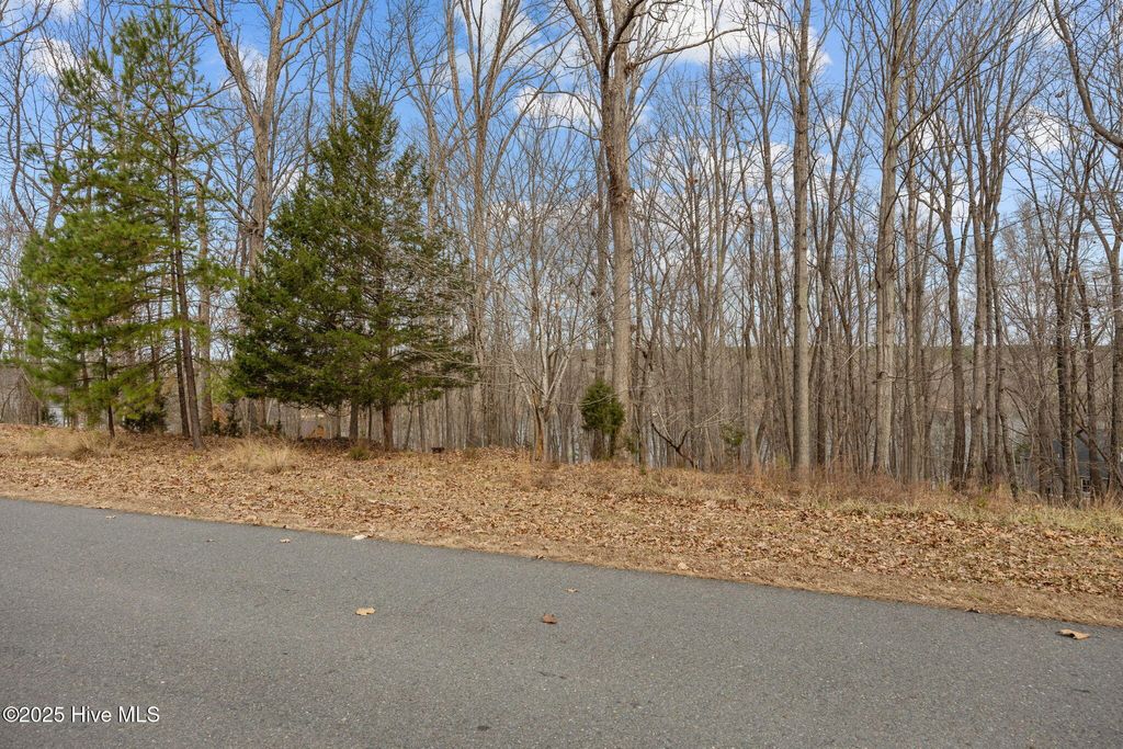 Photo of 1768 Rocky Cove Lane, Denton, NC 27239 (MLS # 100546706)