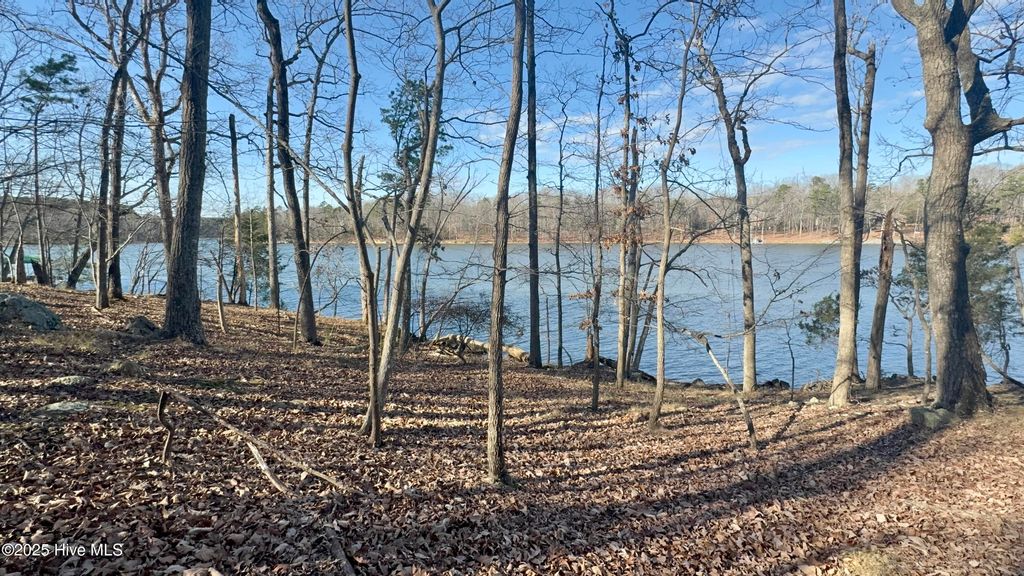 Photo of 1768 Rocky Cove Lane, Denton, NC 27239 (MLS # 100546706)