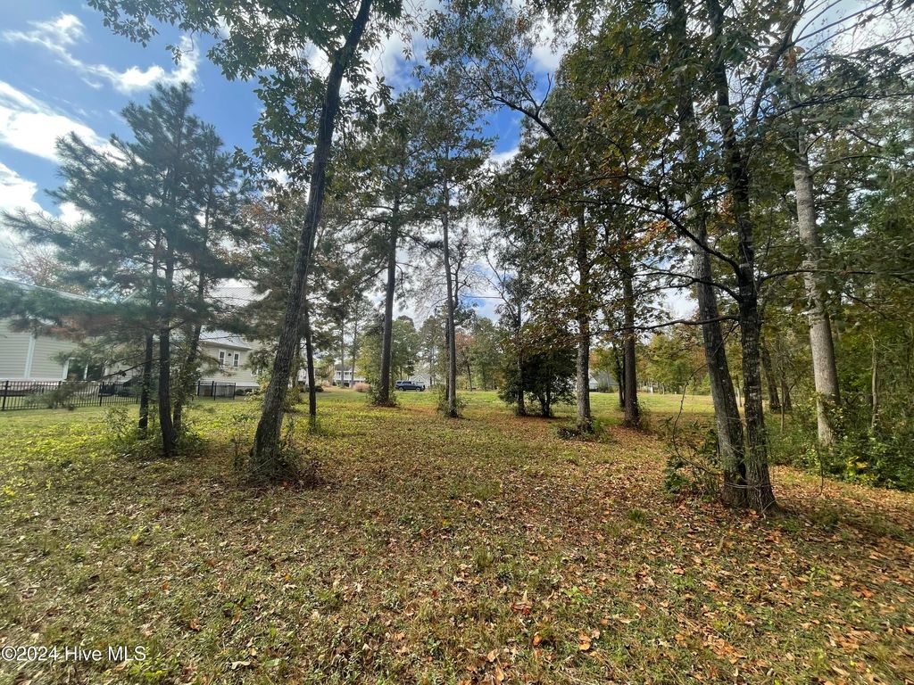 Photo of 3828 Crab Catcher Loop NE, Leland, NC 28451 (MLS # 100474418)