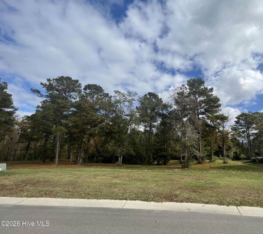 Photo of 3828 Crab Catcher Loop NE, Leland, NC 28451 (MLS # 100474418)