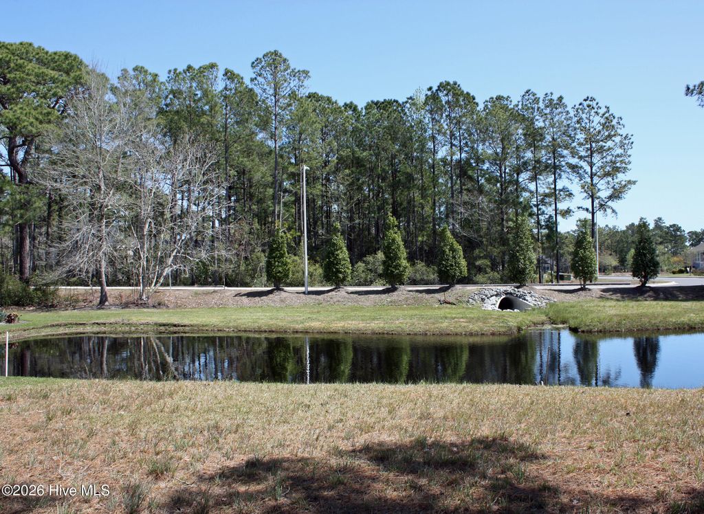 Photo of 6652 Summerhill Glen SW, Ocean Isle Beach, NC 28469 (MLS # 100563332)