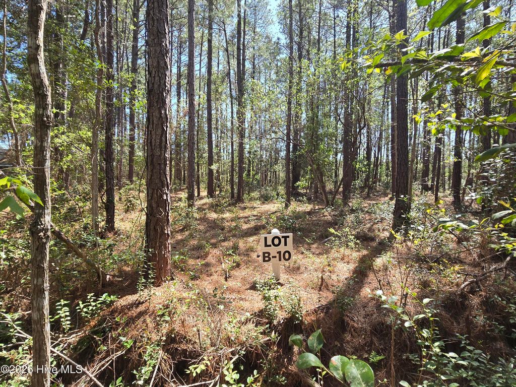 Photo of 10 Renee Drive, Hampstead, NC 28443 (MLS # 100567059)