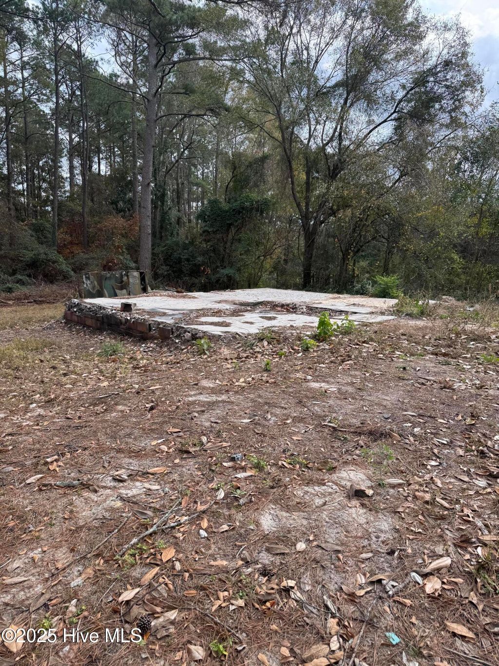 Photo of 0 Ellerbe Road, Rockingham, NC 28379 (MLS # 100543594)