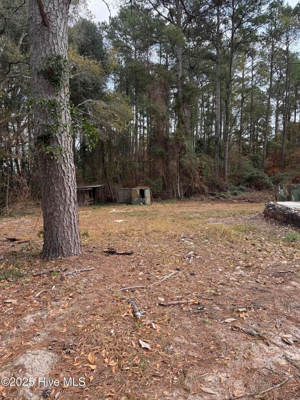 Photo of 0 Ellerbe Road, Rockingham, NC 28379 (MLS # 100543594)