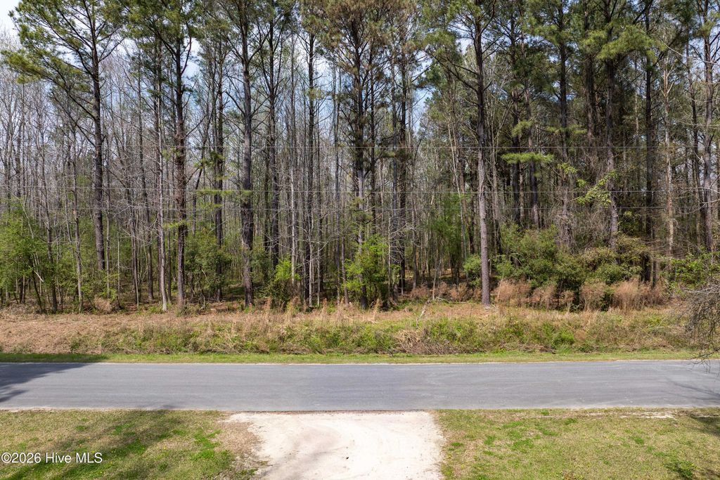 Photo of 1414 State Rd 1414, Burgaw, NC 28425 (MLS # 100562327)