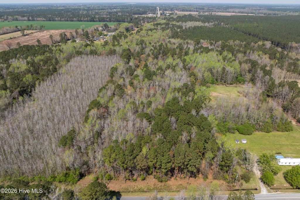 Photo of 1414 State Rd 1414, Burgaw, NC 28425 (MLS # 100562327)