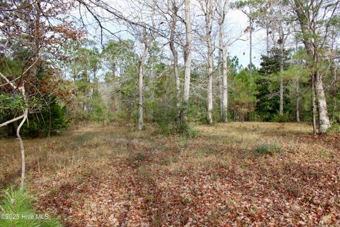 Tiny photo for 12 Tradewinds Drive, Hampstead, NC 28443 (MLS # 100544733)