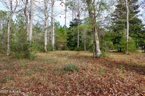 Tiny photo for 12 Tradewinds Drive, Hampstead, NC 28443 (MLS # 100544733)