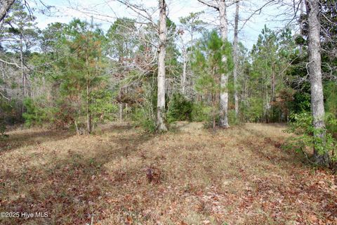 Tiny photo for 12 Tradewinds Drive, Hampstead, NC 28443 (MLS # 100544733)
