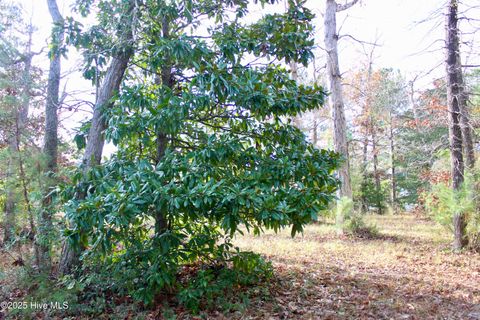 Tiny photo for 12 Tradewinds Drive, Hampstead, NC 28443 (MLS # 100544733)
