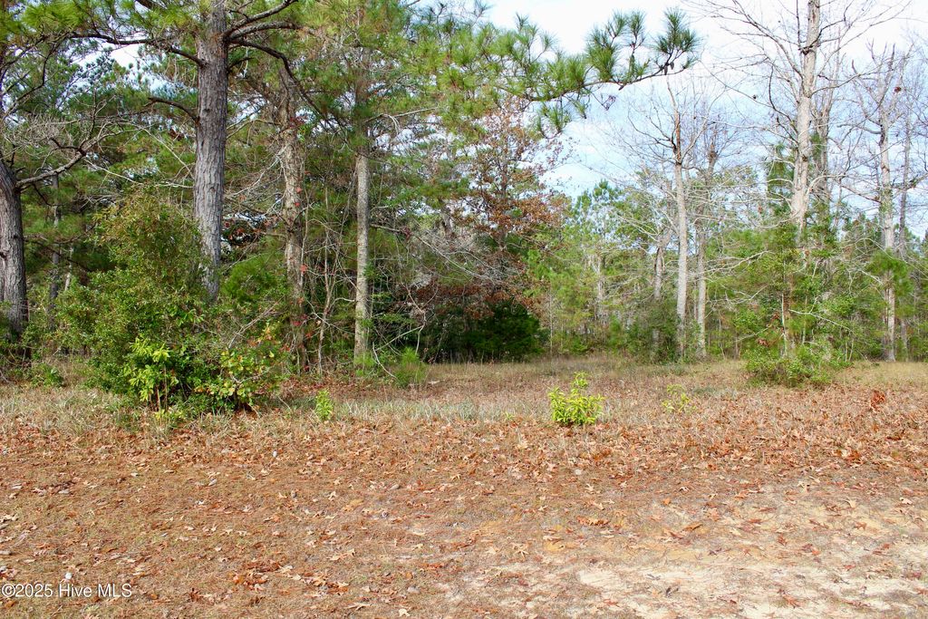 Photo of 12 Tradewinds Drive, Hampstead, NC 28443 (MLS # 100544733)