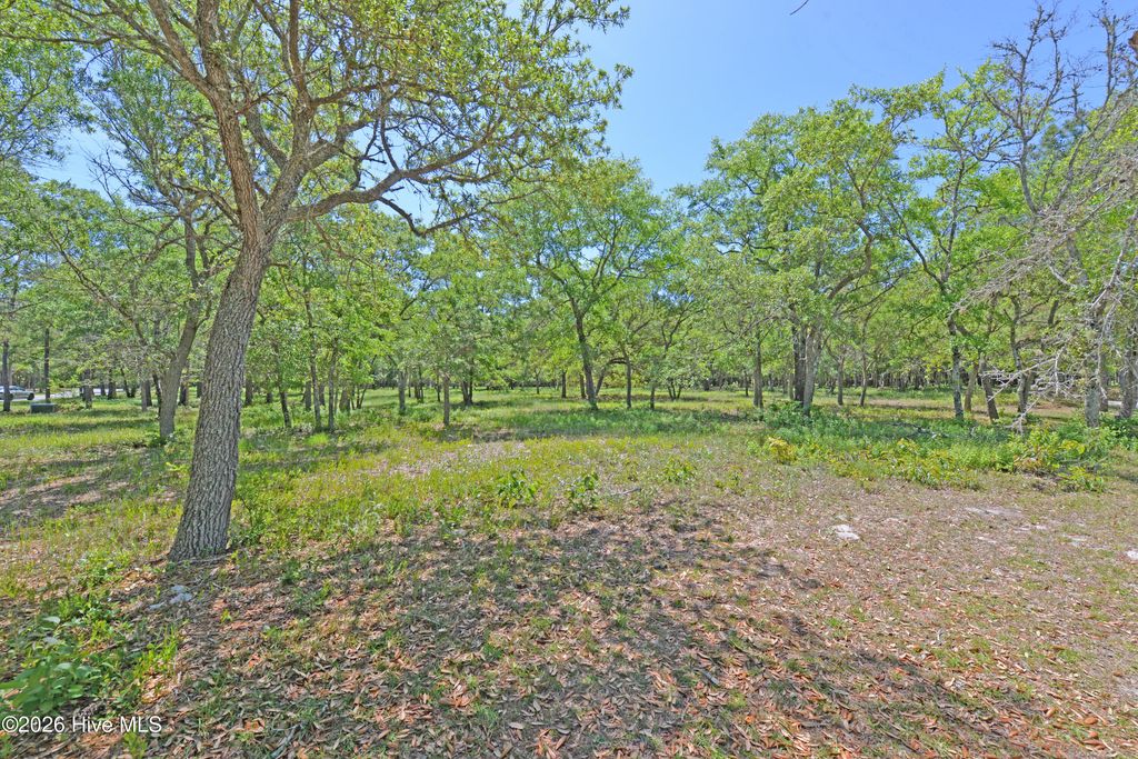 Photo of 587 Maritime Way SW, Supply, NC 28462 (MLS # 100560479)