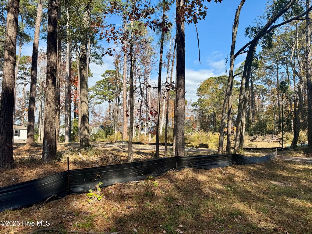 Photo of 9274 Heritage Drive SW, Calabash, NC 28467 (MLS # 100541718)