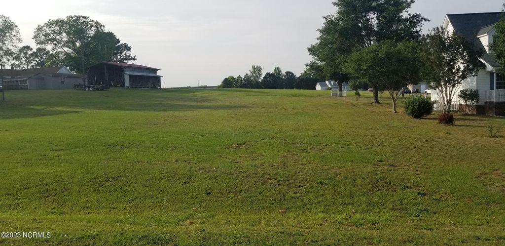 Photo of 1089 White Oak Drive, Williamston, NC 27892 (MLS # 100385984)