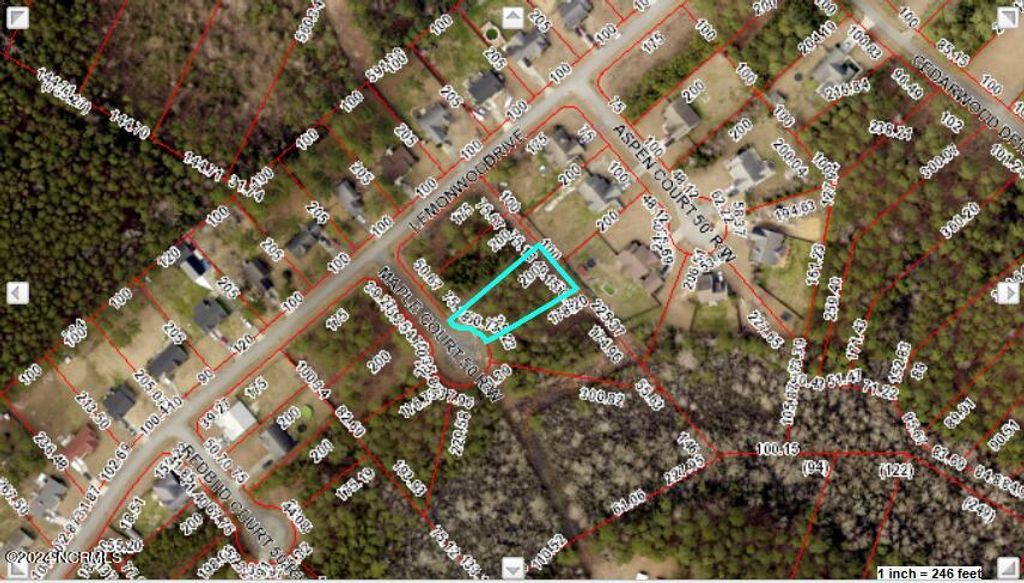 Photo of 105 Maple Court, Havelock, NC 28532 (MLS # 100458167)