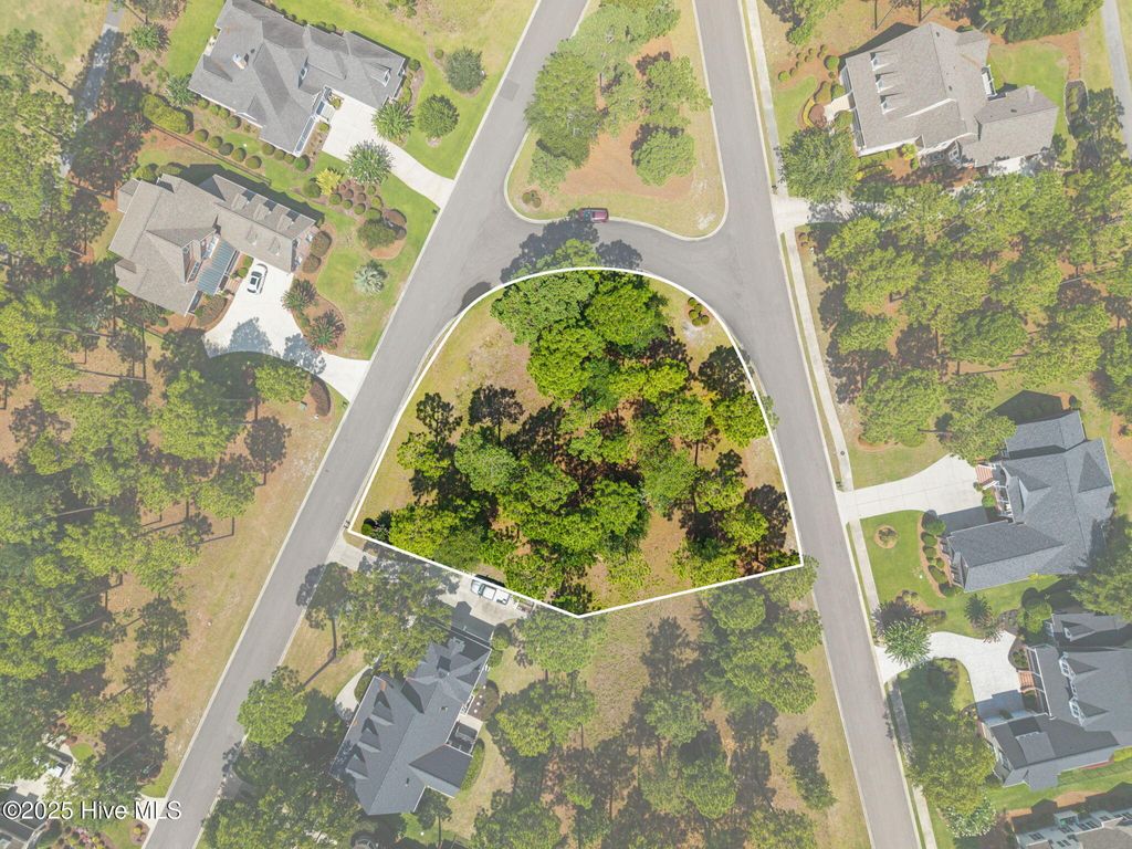 Photo of 484 Emerald Valley Drive, Shallotte, NC 28470 (MLS # 100560686)