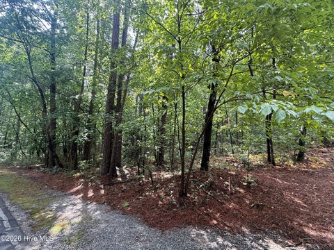 Vacant Land For Sale - 149 Hastings Road<br/> Moore County, West End, NC 27376