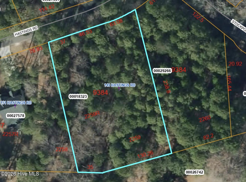 Photo of 149 Hastings Road, West End, NC 27376 (MLS # 100588961)