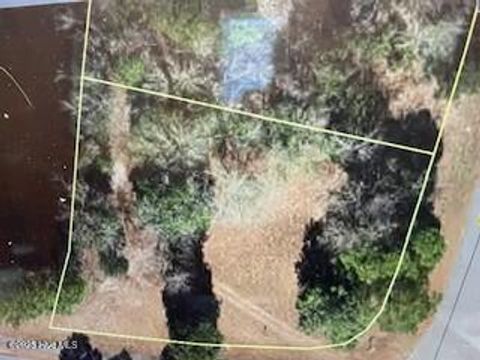 Vacant Land For Sale - 31 Quail Drive<br/> Harrells, NC 28444